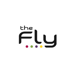 The Fly belfast
